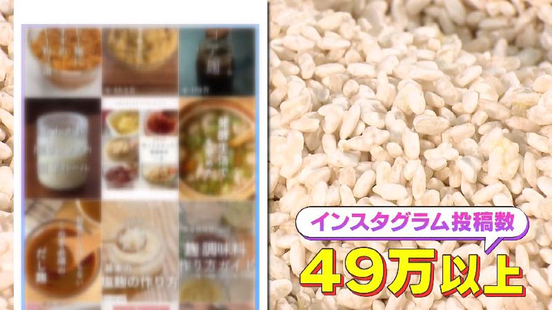 49万以上投稿されているこうじ