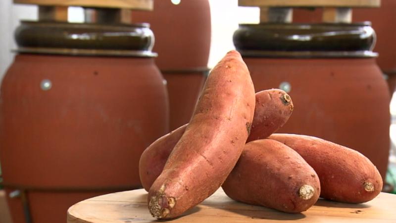 静岡県産のサツマイモ(紅はるか)