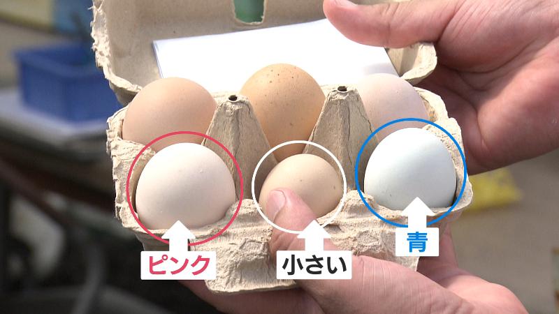 色とりどりの223EGG