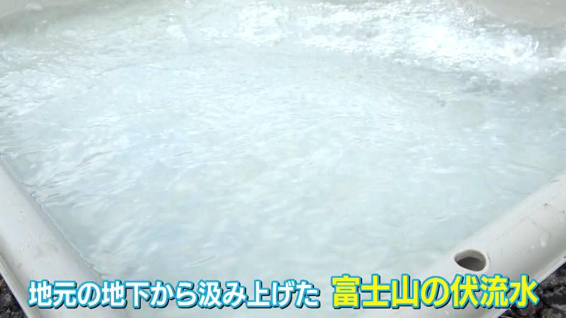 富士産の伏流水