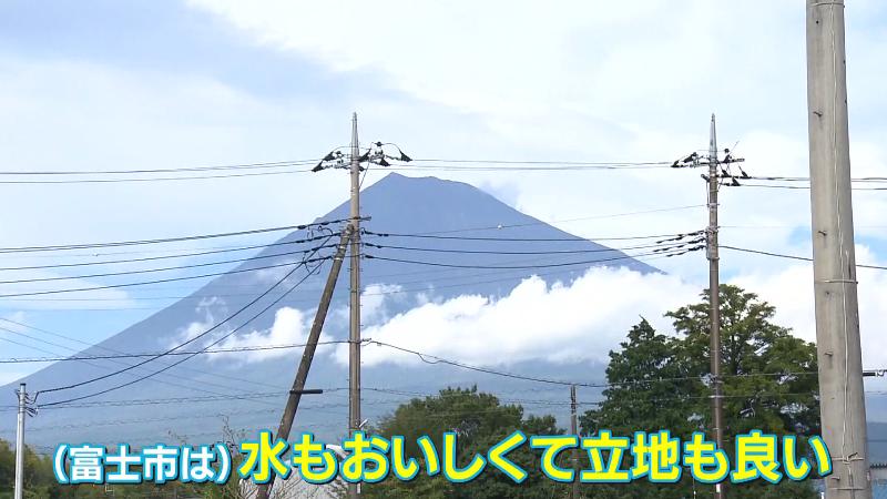 農場から見える富士山