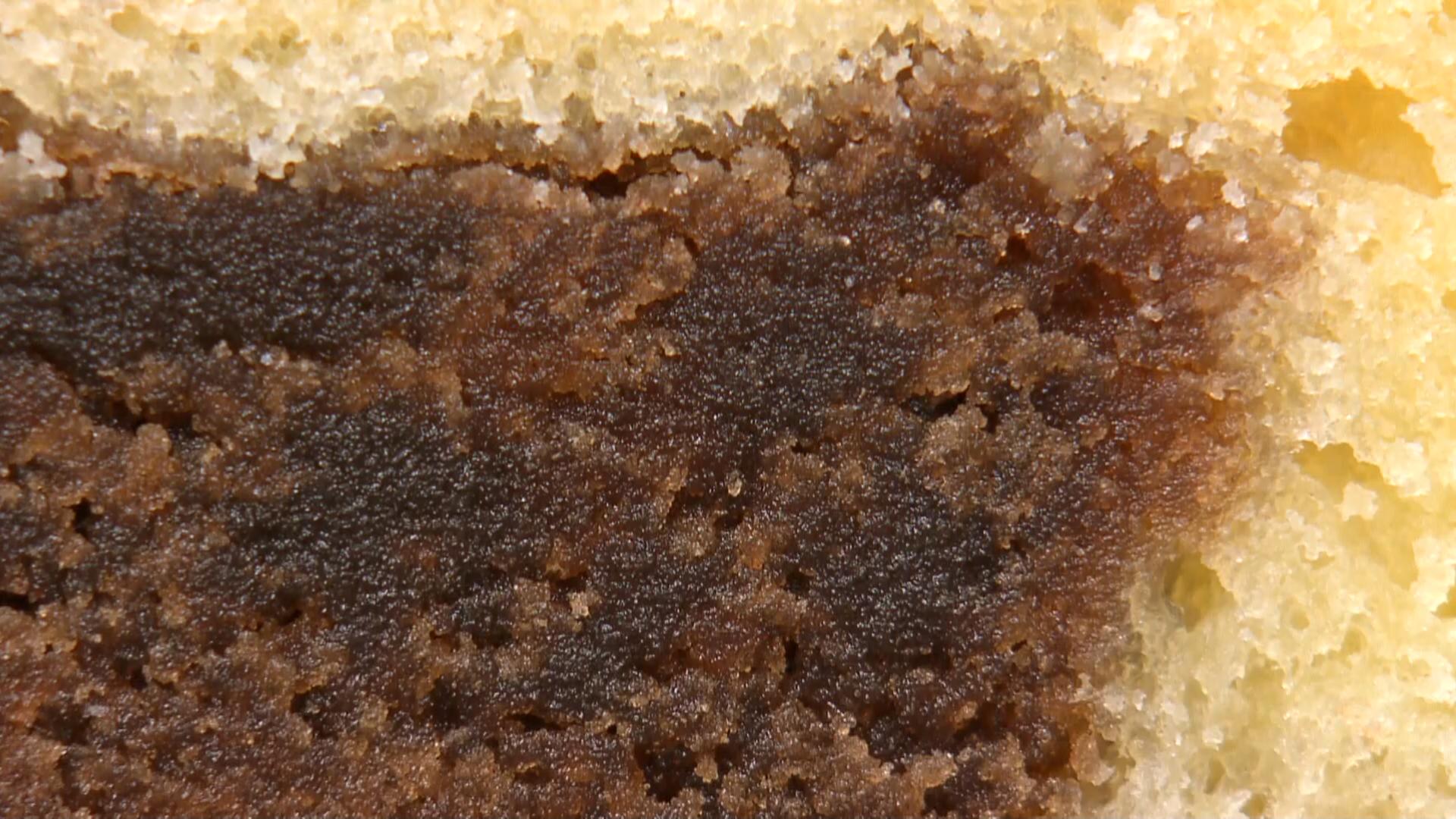 マドレーヌのあん