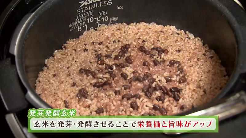 発芽発酵玄米を使用