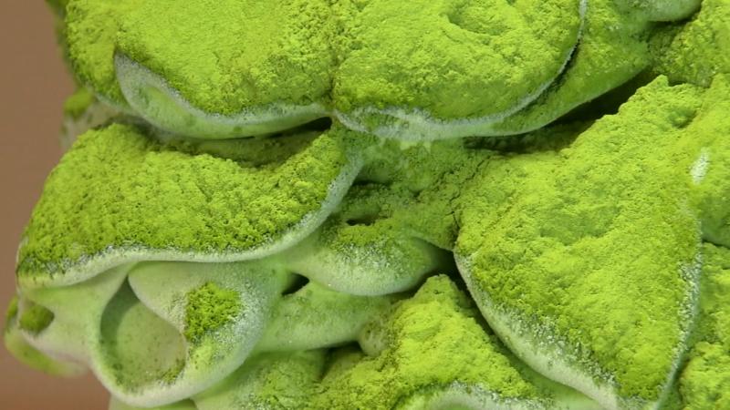 お抹茶大冠雪お濃茶ソフト(580円)