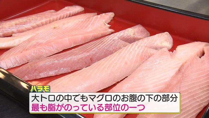 ビンナガマグロのハラモ
