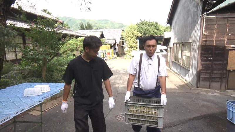 収穫したぎんなを運ぶにむらリポーター