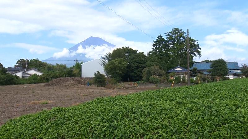 農園から見える富士山