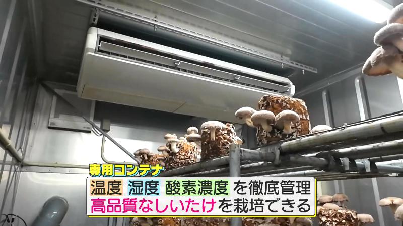 コンテナの空調設備「温度や酸素濃度をコントロール」