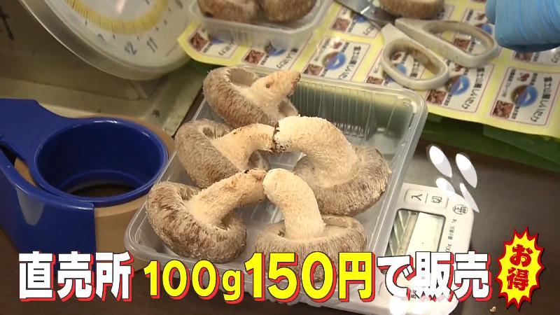 シイタケのパッキング