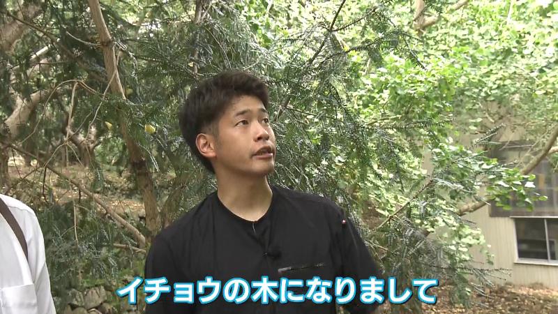 ぎんなん生産者の青木さん