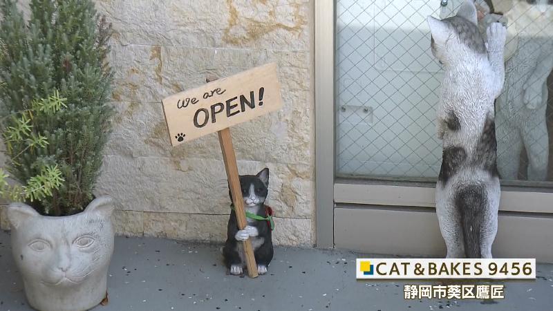 「OPEN」の看板を持ったネコ