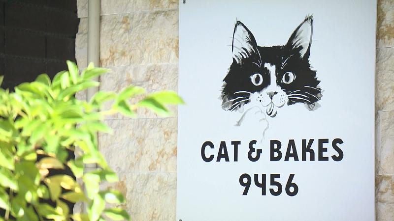 キャット＆ベイクス9456の店名看板