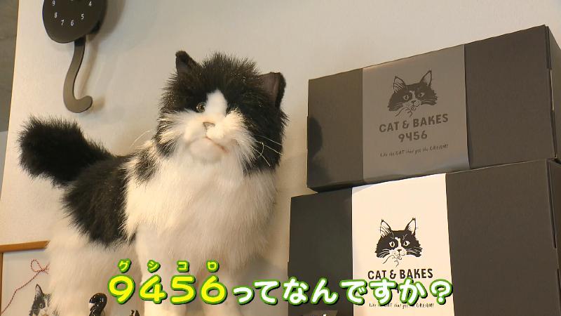 店内にあるネコのぬいぐるみ