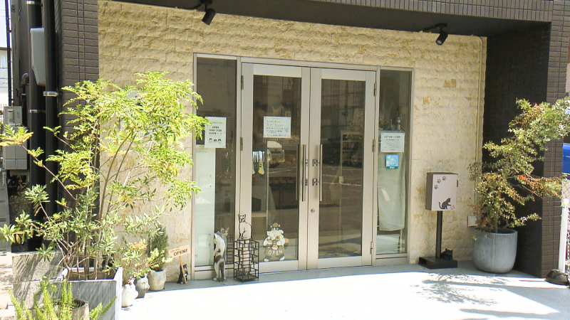 キャット＆ベイクス9456の外観