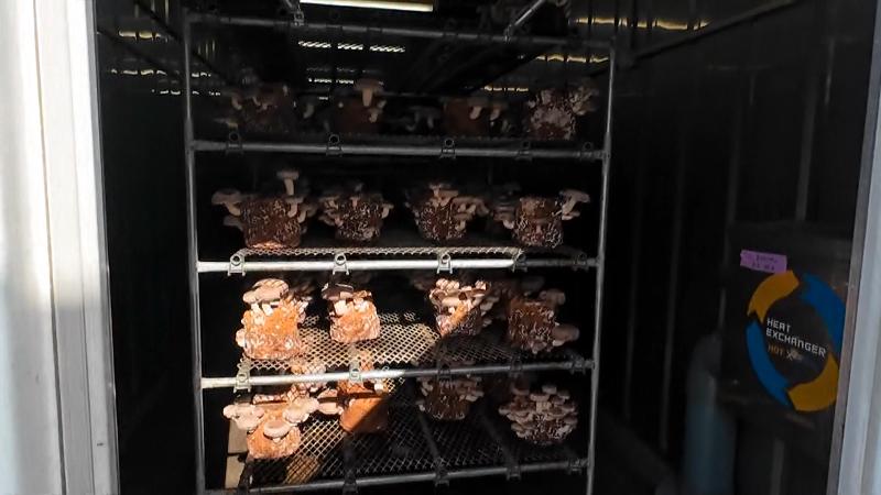 コンテナの内部