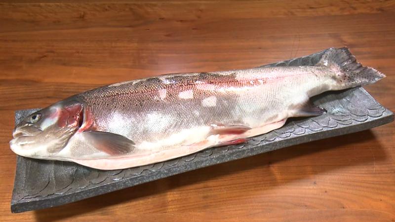 富士の白糸の滝の水で育ったブランドニジマス「富士鱒」
