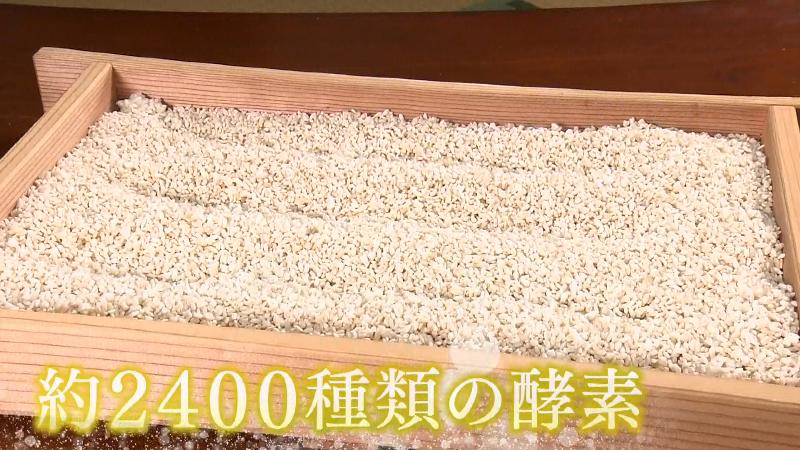 2400種類の酵素を含んでいるこうじ