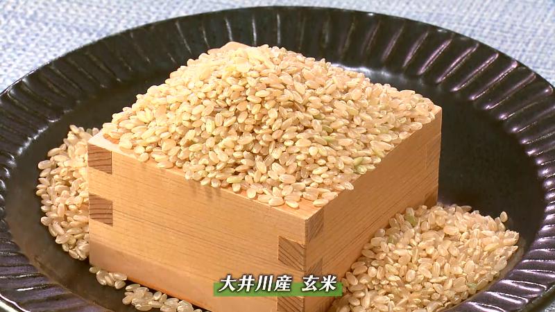 大井川産の玄米