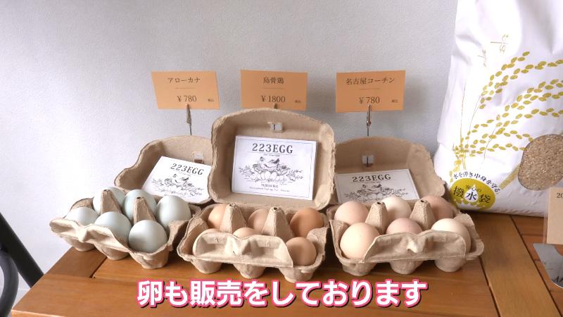 SORATOFUJIで売られている卵のパック