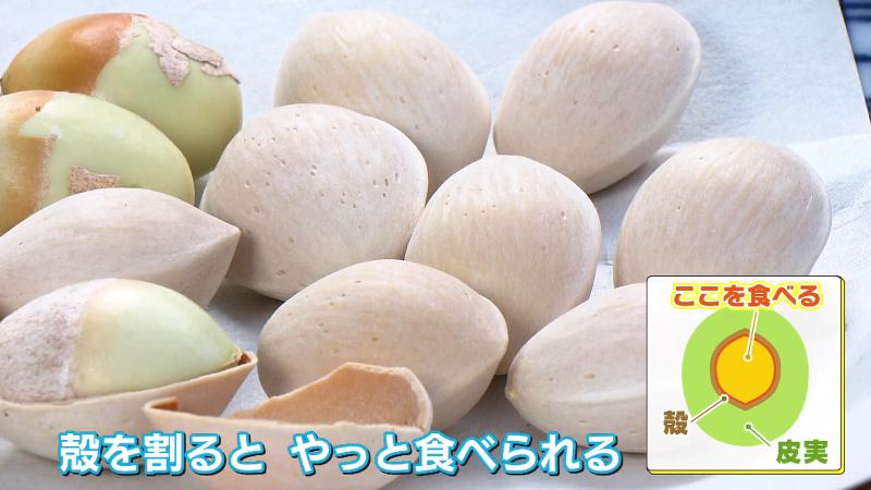 殻付きのぎんなん