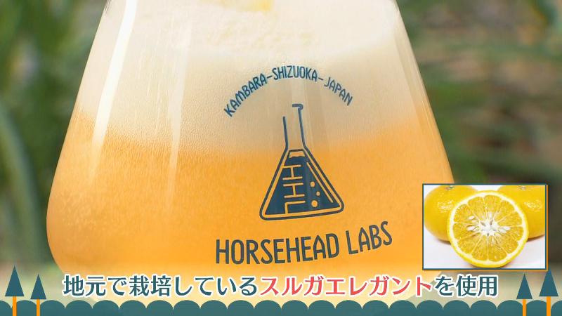 地元で栽培されるスルガエレガントを使用したクラフトビール