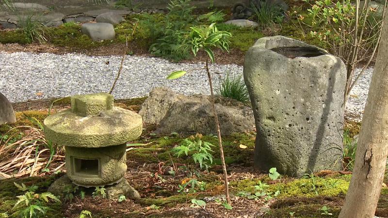 吉田家住宅の裏庭