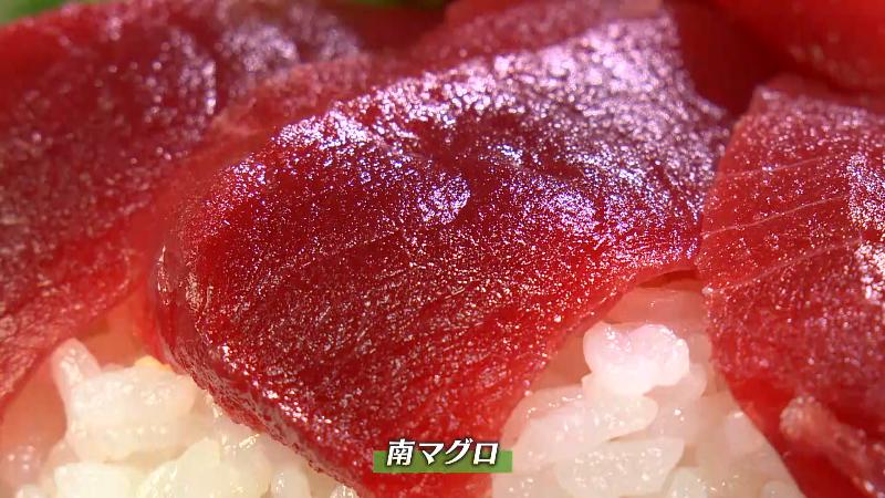 南マグロの赤身