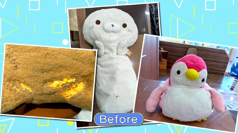 あんしん! キレイ! お泊りクリーニングBefore