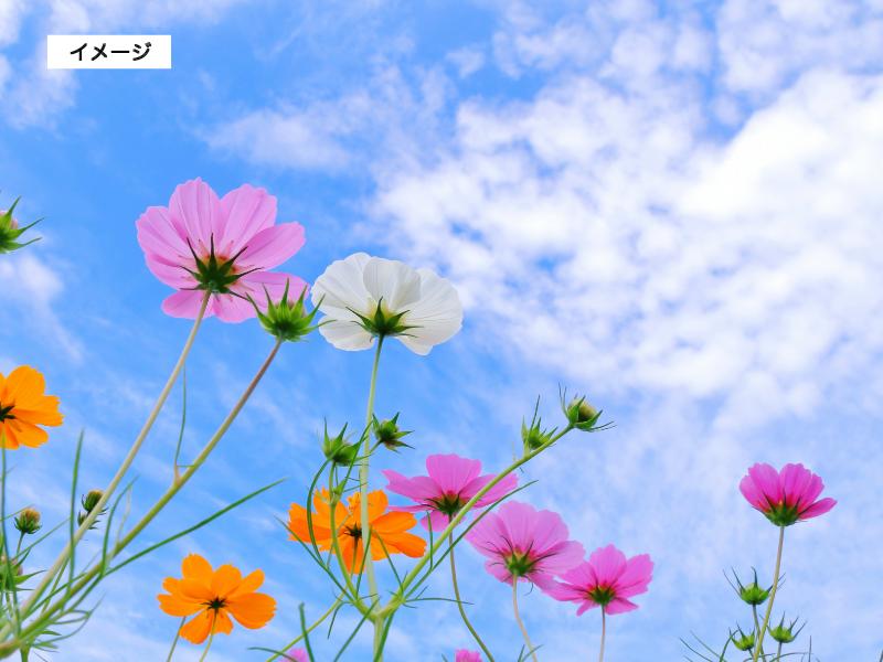 イメージ画像　広い空