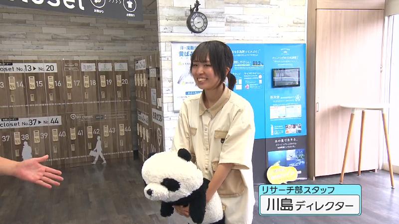 リサーチ部スタッフの川島ディレクターとパンダのぬいぐるみ