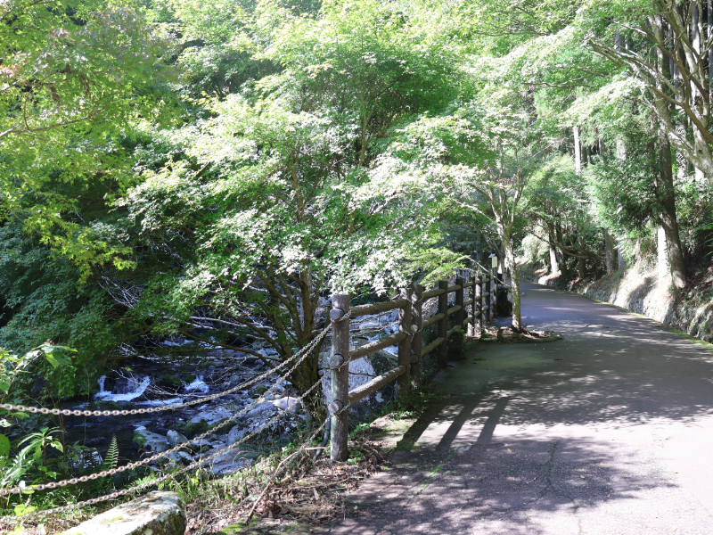 七滝沿いの遊歩道