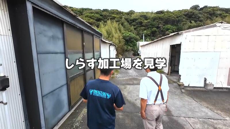 シラス加工場を見学