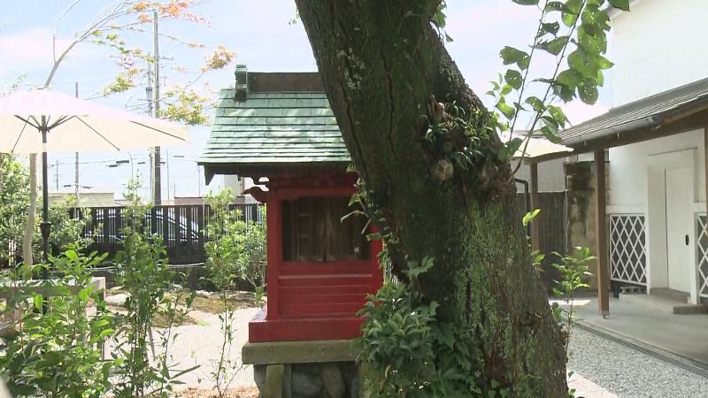 吉田家住宅の裏庭