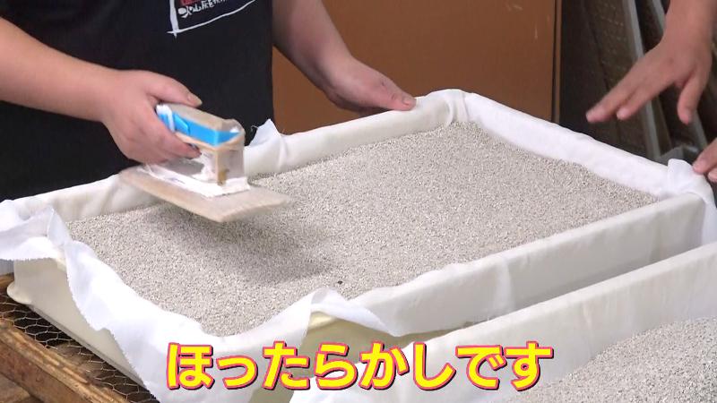 上下を砂で挟んだ状態のサバ