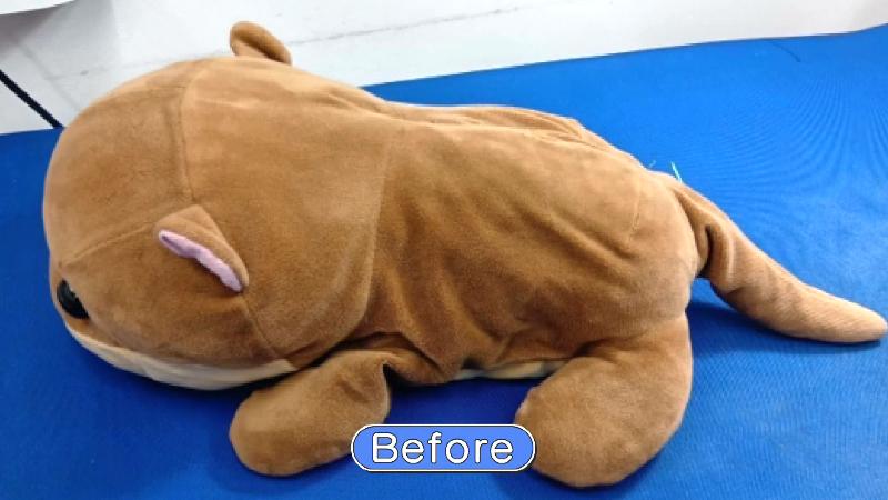 リペアクリニックBefore