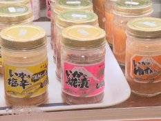 種類豊富なイカの塩辛