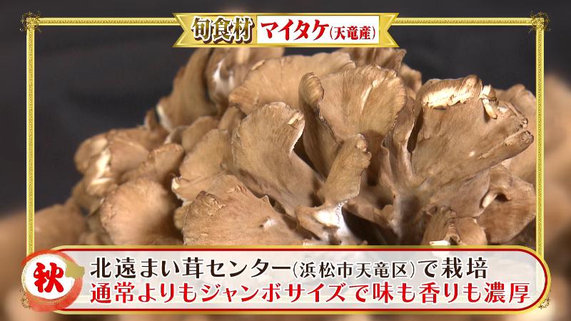 浜松市天竜産のマイタケ