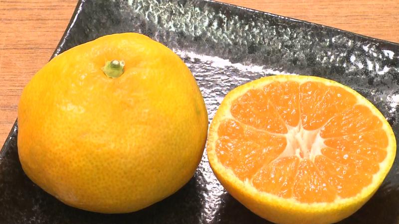 極早生ゆらみかん