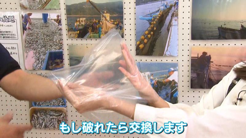 破れてしまった場合は交換も可能