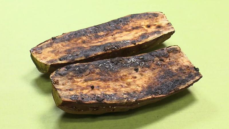 「大やきいも」の焼き芋