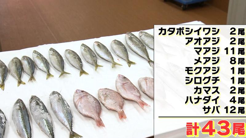 詰め放題の魚内訳