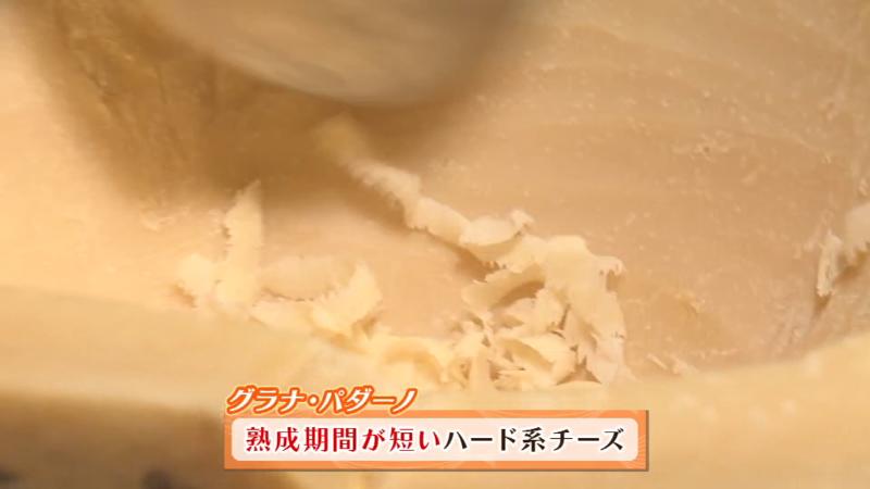 グラナ・パダーノは、熟成期間が短いハード系チーズ
