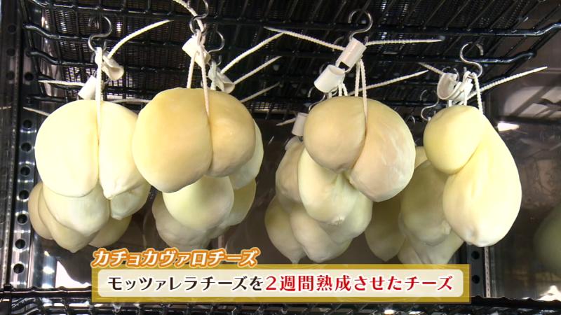 ッツァレラチーズを2週間熟成させたカチョカヴァロチーズ
