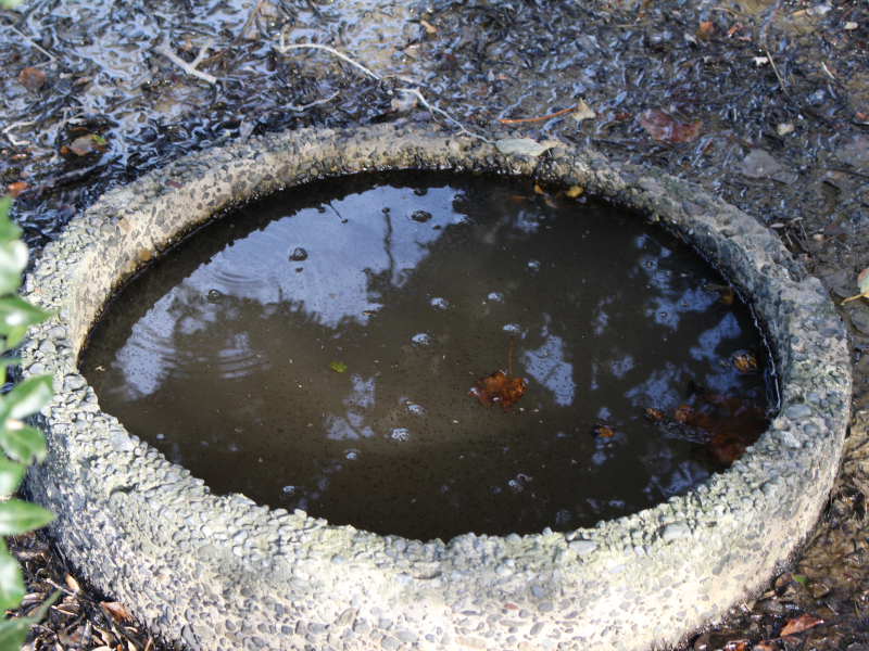 塩ノ段鉱泉の中にある土管