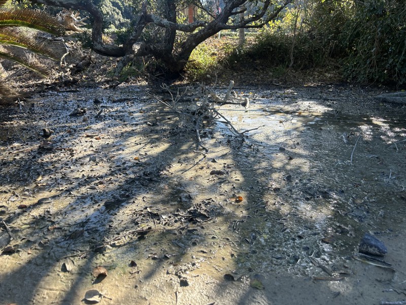 茶畑脇から見た塩ノ段鉱泉