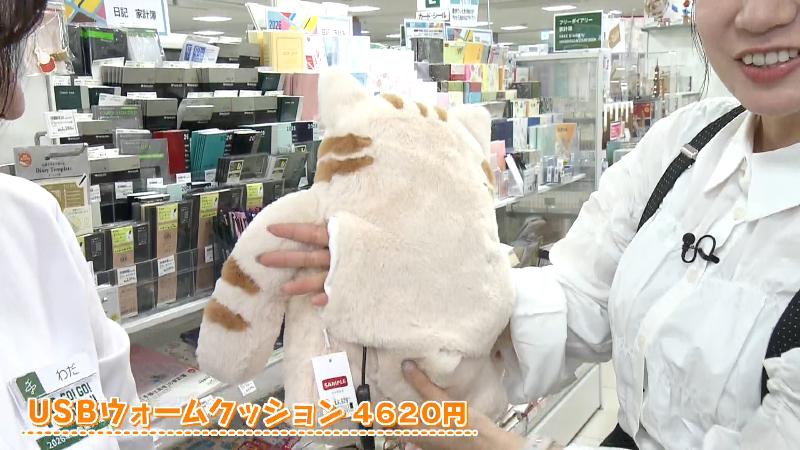 「キシマ ネコティ USBウォームクッション」