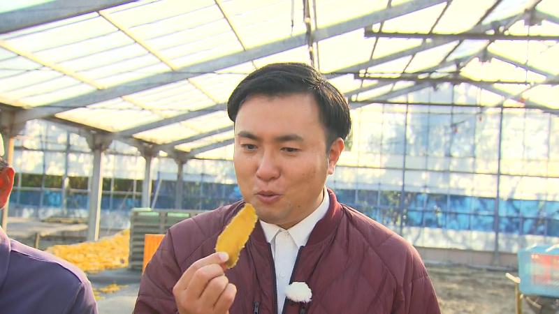 試食するにむらあつとリポーター