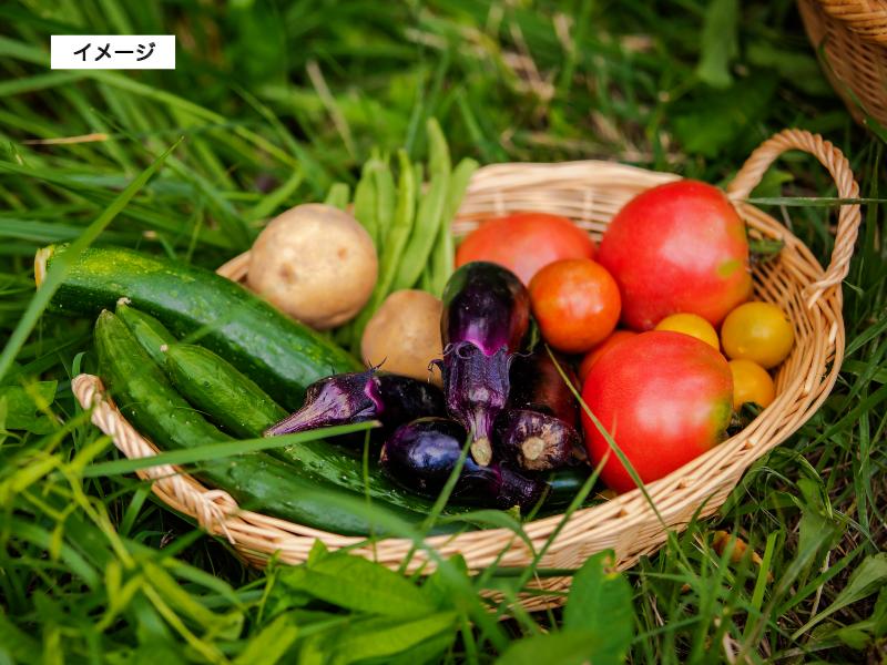 イメージ画像 農業