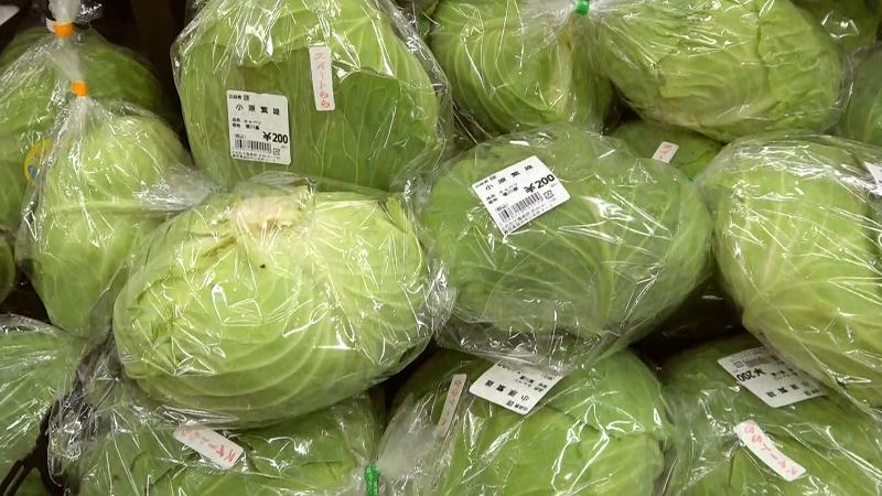 キャベツ(200円)