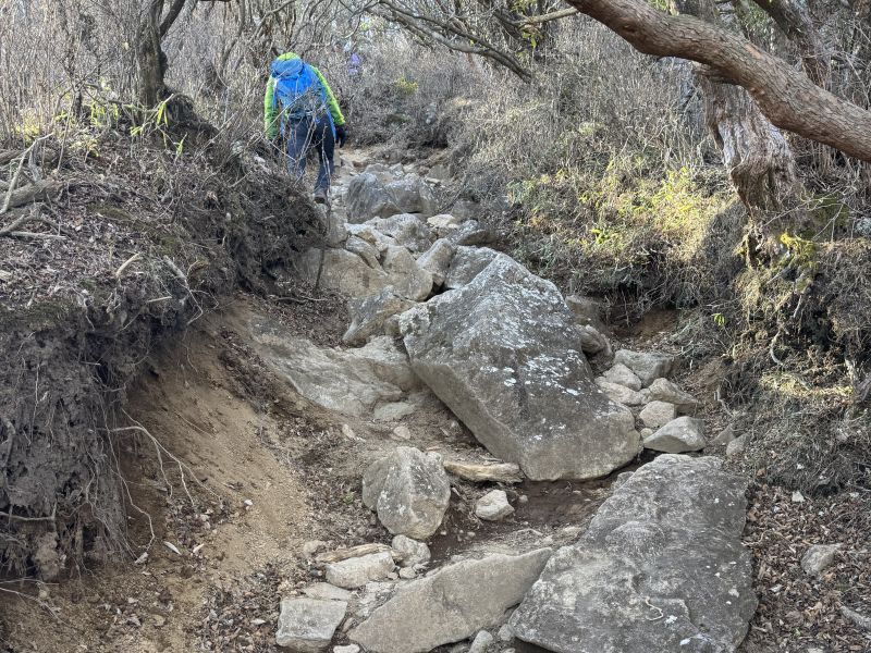 荒れた登山道を歩く登山者